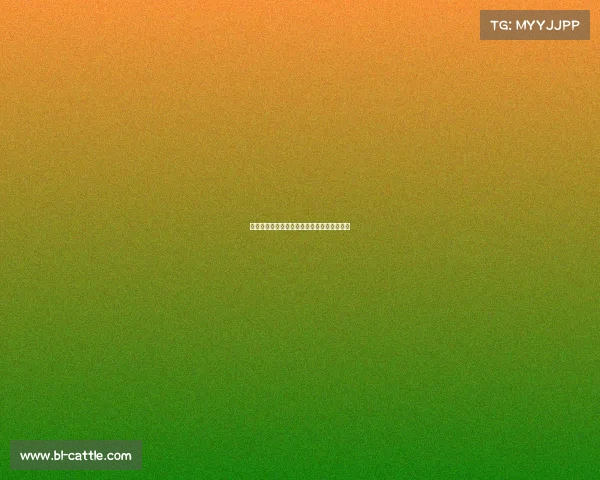 体育赛事活动管理单位建立举报制度需要做到