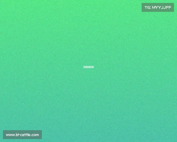 国足怎么看直播