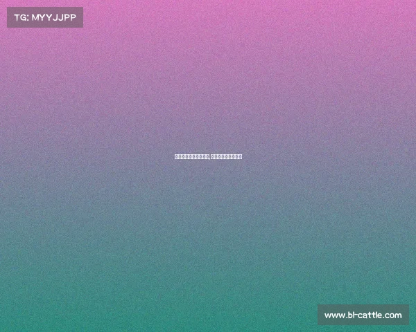 英格兰足球有哪些赛事,英格兰足球队有哪些