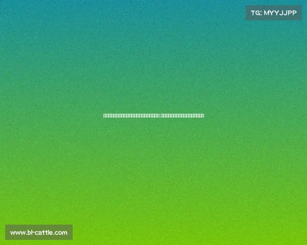 波兰有哪些搏击赛事参加—探索波兰搏击赛事全景 全面盘点当地各类格斗比赛详情与特色