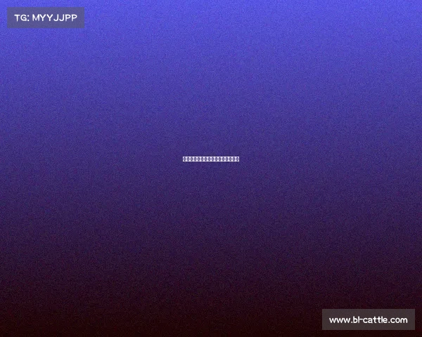 美国各大赛事排名、美国最火的赛事