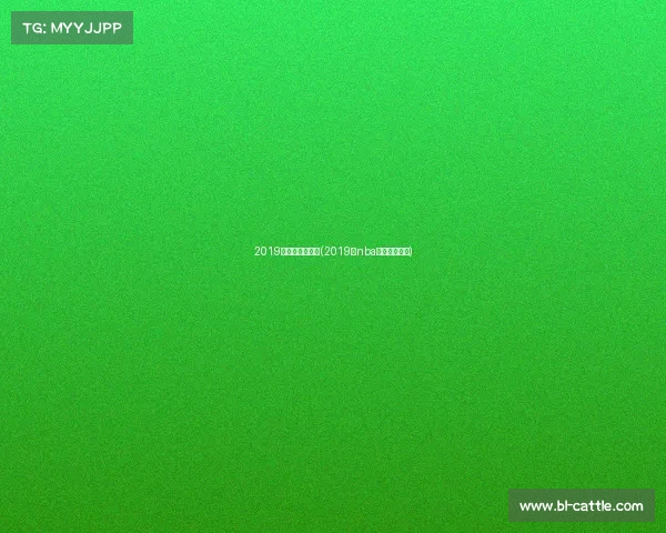 2019火箭季后赛赛事(2019年nba火箭赛季回放)