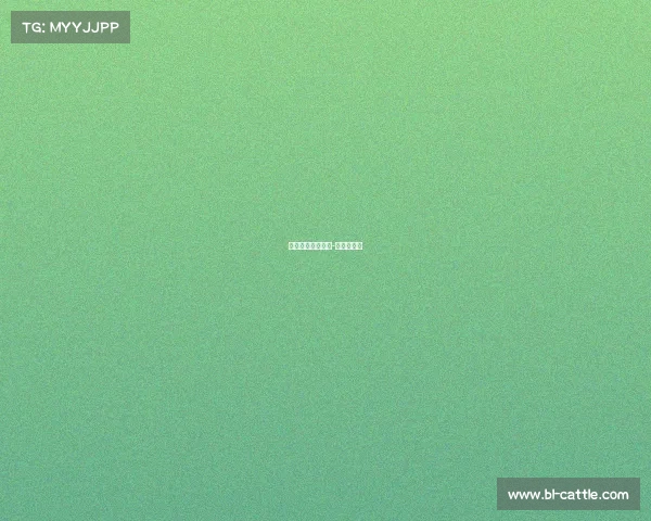 公路车赛事有哪些-公路车赛车