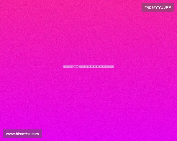 女足大赛事—2023女足世界杯全球盛典：巾帼英姿绽放绿茵梦想荣耀之光