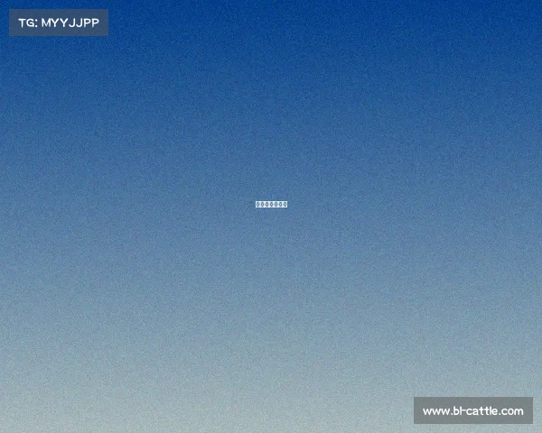 成都大运会参赛 成都大运会参赛