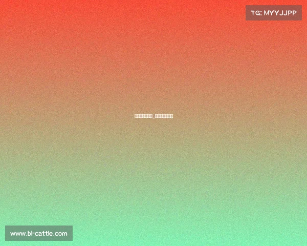 浙江省棋类赛事_浙江省围棋比赛