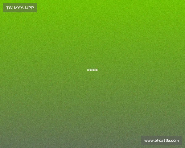 赛事的盈利模式 赛事的盈利模式