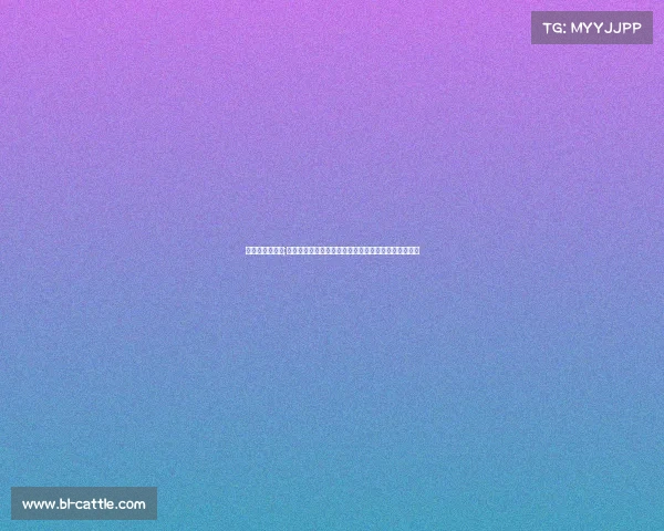 足球大赛时间表;激情足球全球狂欢盛宴荣耀对决共享绿茵梦想时刻盛会